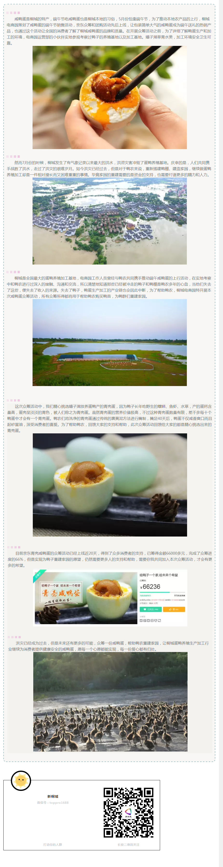 給鴨子一個家，給未來一個希望