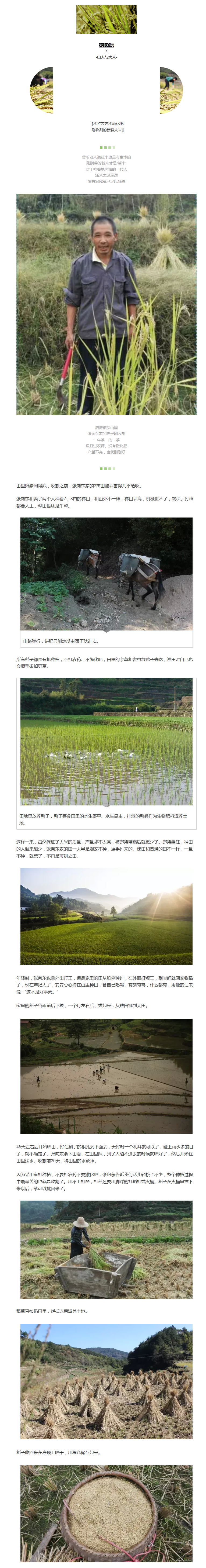 吃一碗安心大米，與2016年作別 - 副本